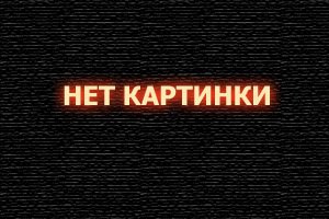  В клетке смотреть онлайн (2010) 